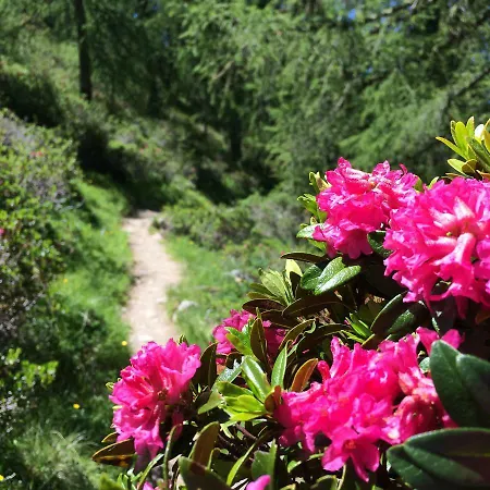 Raich Appartamento *