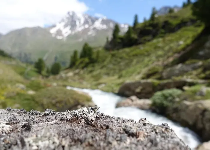 Apartman Raich Prutz