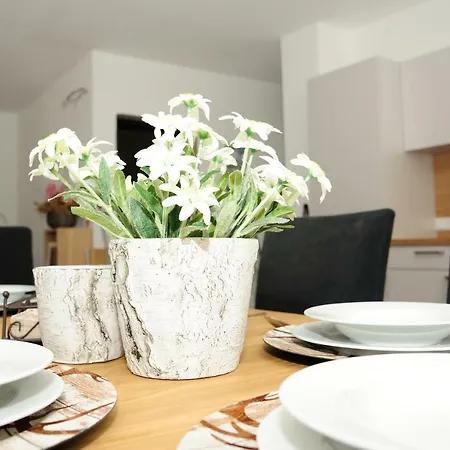 Raich Apartment Prutz