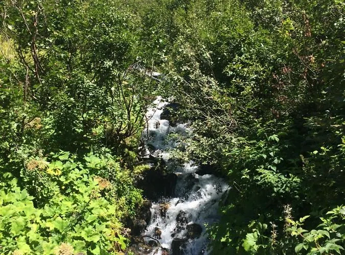 Lejlighed Raich Prutz